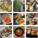 토마(TOMA) 이미지