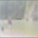 동강자연속으로 이미지