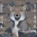 우리하숙 - 보령시 오천해안로 7 | 우리하숙
