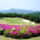 클라우드티 네이버블로그