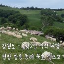 경포삼거리 | 강원도 1박2일 [평창 강릉 동해 묵호 찍먹 여행] 🍀