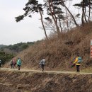 봉화산 솔바람길 이미지