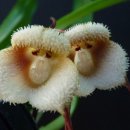 반포삼정공인중개사사무소 이미지