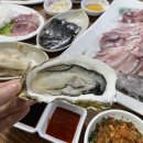 삼바리회센타 | 제주시청 근처 방어회 맛집, 삼바리회센타 재방문 후기