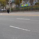 농협 앞 횡단보도 이미지