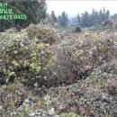 도순주유소 이미지