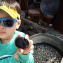 실미농장 이미지