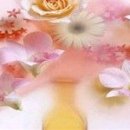 안의꽃사랑 이미지