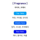 으뜸인터내셔널 이미지
