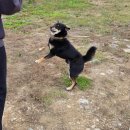 제이플러스 펜션 A동 | 가평 펜션 무제한 바베큐·불멍·수영장까지 트래블리 펜션 후기