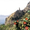 동백민박 이미지