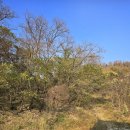 스윗미 148 이미지