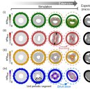 소프트안 이미지