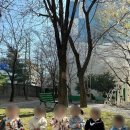 코코베베어린이집 이미지