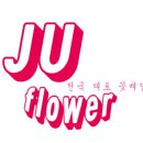 주플로 | 웨딩촬영준비, 헤어스타일 팁까지!