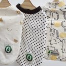 막둥이애견 이미지