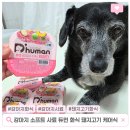 (주)엑스아이소프트 | 강아지 소프트 사료 찾는다면 듀먼 화식 신제품 돼지고기 강아지 케어식 후기