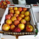 서연농장 이미지