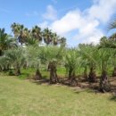 남원읍-90 이미지