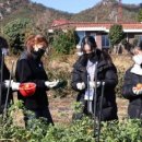 삼성전원공인중개사사무소 네이버블로그