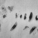 허그미동물병원 이미지