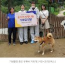 소셜미디어와디지털시민성 과제 3. 인플루언서 선한 영향력과 사회적 책임 찬반