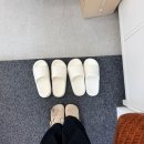 세븐일레븐 진주초전청구 | 진주 초전동속눈썹펌 추천 진리뷰티 예쁘게 잘 올려주는 속눈썹펌 후기