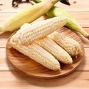 대학찰옥수수 이미지