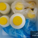 청양알프스산양목장 이미지