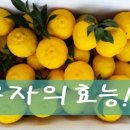 유자인 이미지
