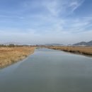 순천만 어싱길 맨발 걷기대회 | 순천 가볼만한곳 11월 12월 갈대 가득한 순천만습지