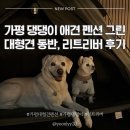 가평댕댕이애견펜션그린 | 가평 댕댕이 애견 펜션 그린 l 대형견 리트리버방 내돈내산 후기 (시설,정보 총정리)