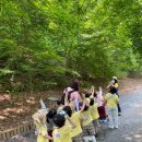 별샘어린이집 이미지