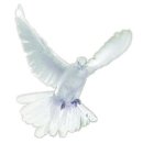 사랑의 날개 이미지