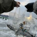 화천체육관 | 화천 산천어축제 준비물 입장료 낚시대 주차 꿀팁 후기