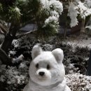 분당-268 이미지