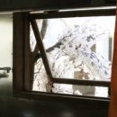 후우미라멘