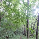 서해랑길 43코스 이미지