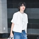 댄디하개 이미지