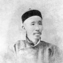 소동느티나무 이미지