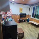 플로리다 대탄 이미지