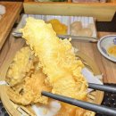 미스터참치 이미지