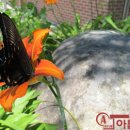 방일리보건진료소 이미지