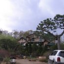 들꽃풍경 이미지