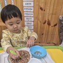 다양한 크기 스푼으로 귀리튀밥을 옮겨요 이미지