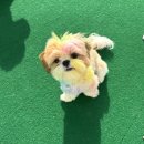 컴피 포항점 이미지