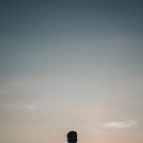 보라피네 브런치