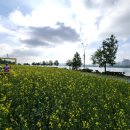 왕숙천로 이미지