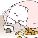 카페리세