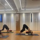 요가(오전) 이미지